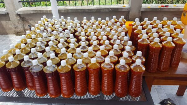 Crude Palm Oil for Sale - Image 2